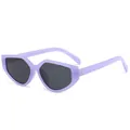 Lavendel onregelmatige candy color zonnebril voor dames met stijlvolle donkere glazen - Jelly Paars Frame Grijs Glas