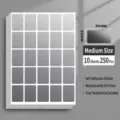 Mittelgroße 30x20mm graue wasserfeste Aufkleber-Etiketten, 250 Stück Set - Mittlere Größe 250 Stk / Matt Silber