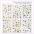 6-sheet PET waterproof cartoon sticker pack for journaling with floral and animal themes - 6pcs / Flower Language Atlas
