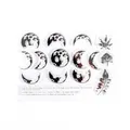 Vintage clear silicone stamp set featuring moon phases and botanical leaf designs - Moon Phase