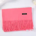 Elegant soft pink faux cashmere scarf featuring delicate tassels and a black label - 70-200cm / Watermelon red