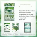 Youth campus themed 3D scene stickers set with PET material and background card - Encounter Moment / 2张贴纸加1张场景卡