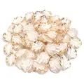 Detailed macro view of pearlescent shell beads with elegant gold trim for DIY crafting - 500g/1500 Pieces Pack / Creamy White Gold-Edged Leaf
