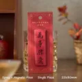 Chinese style red epoxy fridge magnet with blessing calligraphy for decoration, 25x80mm - All the Best