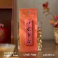 Red rectangular refrigerator magnet with Chinese blessing calligraphy on epoxy surface - Good Luck Persimmon