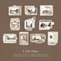 30 vintage scrapbooking stickers 'Life Diary' serie voor journal decoratie en crafts - Levensdagboek / 30 Stuks/Verpakking