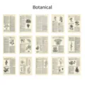 Set of 15 vintage botanical material paper stickers for scrapbooking and journal - Greenery
