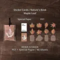 Set di adesivi e cartoline a tema naturale con foglie d'acero per scrapbooking, 46 pezzi - 46 Pezzi per Confezione / Foglia d'acero