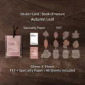 Set adesivi foglie autunnali carta PET 46 pezzi - 46 Pezzi per Confezione / Foglia d'autunno