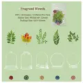 Hidden Flowers serie PET scrapbooking stickers met botanische bladeren en glazen koepels 15st - Weelderig Groen