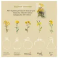 Bloemen en flessen PET stickers voor scrapbooking set van 15 vellen Endless Summer - Eindeloze Zomer