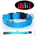 Collare per cani a LED ricaricabile collare luminoso in nylon per animali con porta USB blu vivo. - XS / Blu - Funzionante a Batteria