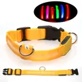 USB rechargeable LED dog collar, luminous glowing pet collar in yellow with secure buckle. - XS / Yellow - Battery Version