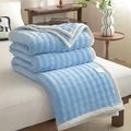 Premium soft blue milk velvet throw blanket with white border for bed or office nap - Lake Blue