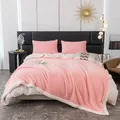 Dicke rosa doppellagige Fleecedecke mit weichem Lammwollfutter für Schlafzimmerdeko - 100*150cm Einzeldecke / Kirschrosa