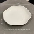 10-inch matte white ceramic plate with hammered texture for pasta and soup serving - Frosted White / 10"