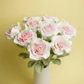 Hand-knitted pink and white crochet rose bouquet as a romantic Valentine's Day gift - Pink and White Thai Rose Bouquet