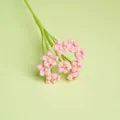 Verfijnd handgebreid roze garen gipskruid boeket met elegante parelmoer centra - Roze Sterrenhemel
