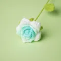 Verfijnde handgehaakte blauw-witte roos gemaakt van zacht premium garen voor decoratie - Puntige Verloop Groene Roos