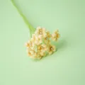 Beautiful handmade crocheted gypsophila flower bouquet with pearls in yellow variant - Yellow Starry