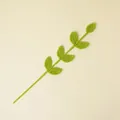 Handgemaakte gehaakte eucalyptusblad tak voor DIY gebreide bloemenboeketten decoratie - Spruitgroen