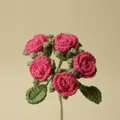 Handmade crochet pink bubble rose bouquet with green leaves on a neutral background - Rose Red