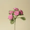 Handmade pink crochet multi-head bubble rose bouquet, romantic Valentine's Day gift - Pink