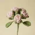 Hand-crocheted pink bubble rose bouquet with soft woolen yarn for Valentine's gift - Nude