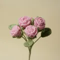 Hand-crocheted pink rose bouquet with delicate yarn texture for Valentine's gift. - Rose Pink