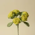 Hand-knitted yellow crochet bubble rose bouquet for romantic gifts - Grass Green
