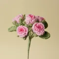 Beautiful handmade crochet pink multi-head bubble rose bouquet with realistic green leaves - Gradient Pink