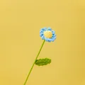 Handmade knitted crochet daisy flower in light blue color with green stem and leaf - Daisy / Single Branch (Approx. 30cm) / Blue