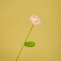 Handcrafted pink crochet daisy flower with green stem and leaf - Daisy / Single Branch (Approx. 30cm) / Pink