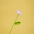 Handmade purple crochet daisy flower for creative Valentine's Day gifts and home decoration. - Daisy / Single Branch (Approx. 30cm) / Purple