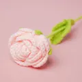 Handgemaakte gehaakte roze roos bloem Valentijnsdag cadeau huisdecoratie variant - Huidskleur