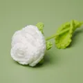 Handmade crochet white rose flower finished knit gift for Valentine day home decoration - White