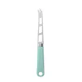 Cuchillo para queso profesional de acero inoxidable con mango ergonómico de plástico verde - Cuchillo de Queso / Verde
