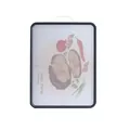 Antibacterial plastic cutting board with cartoon food pattern and handle - Square / Steak Pattern