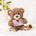 Cute curly brown teddy bear plush holding a Love heart envelope for Valentine's gift - Confession Bear / 25cm
