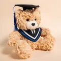 Absolventen-Plüschteddybär mit schwarzem Doktorhut und blauer Robe, Geschenk - 25cm / Teddybär