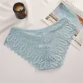 Nahaufnahme eleganter hellblauer Spitzenunterwäsche mit filigranem Blumen- und Blattmuster - Graublau