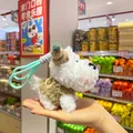 Adorable white plush Westie dog keychain with knit sweater and mint green strap - Brown Sweater / 15cm