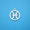 Mirror finish stainless steel Pisces zodiac pendant for DIY jewelry making - Pisces