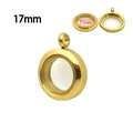 17mm ronde roestvrijstalen medaillon hanger in goudkleur met glazen venster - Gedraaid Frame (Schroefopening) / 17mm / Goud