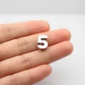 Colgante número 5 de aleación de cromo pulido para pulseras y llaveros DIY - Número 5 (6116644907060) / Cromo