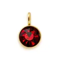 Gold stainless steel 6mm round red birthstone charm pendant for DIY bracelets and necklaces - Garnet Red (HC513-January)