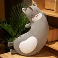 Adorable curved grey cat plush body pillow for side sleepers with soft washable cover - Hamster / 1.2m 1.2kg With Liner