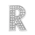 Silver rhinestone letter R accessory for DIY pet collars and hats, 30mm zinc alloy - Letter-R / 30mm
