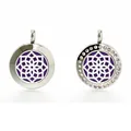 20 mm roestvrijstalen aromatherapie diffuser medaillon hanger met kristal en gepolijst - Geometrisch Patroon Stijl (026) / 20mm Roestvrijstalen Twist Hanger - Gepolijst