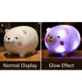 Cute glowing white bear plush pillow toy with colorful LED lights for kids birthday gift - 30 cm / Cute White Bear